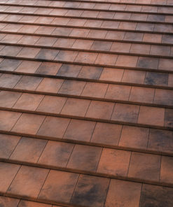 Керамічна черепиця Tejas Borja Flat 10 Tech Moss Red