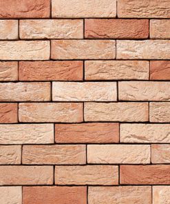 Vandersanden 3. Neo Magnolia