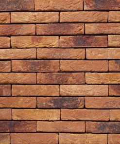 Vandersanden 29. Primula