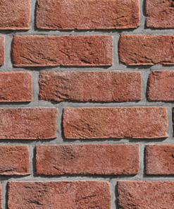 Roben FORMBACK светло-красный пёстрый