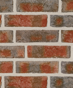 Roben FORMBACK пёстрый огненный