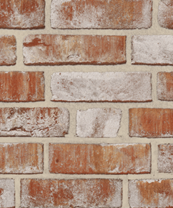 Roben GEESTBRAND білий строкатий